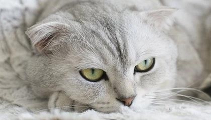 九州娱乐平台|电子竞技赛事v2.6.1